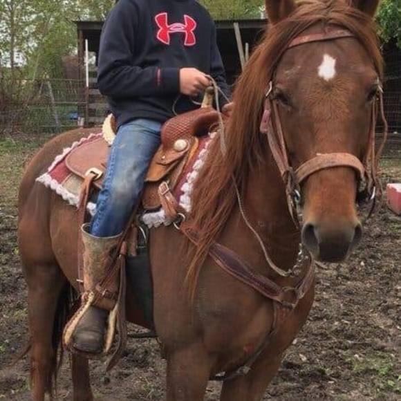 Meet your Posher, Stacy - Picture 1 of 1